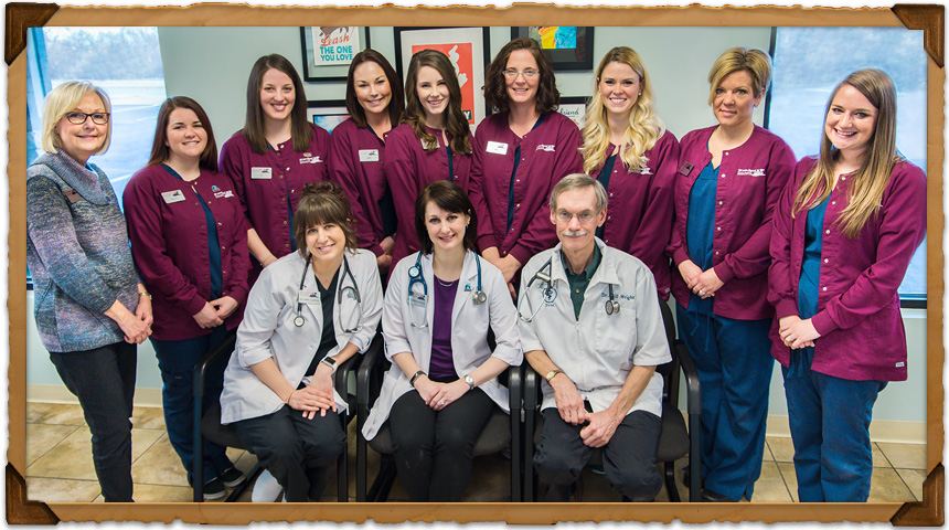 About Bryan Road Animal Hospital in O'Fallon