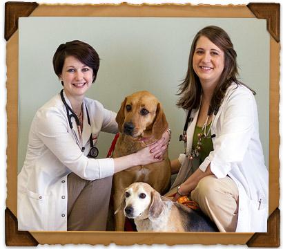 New Clients of Bryan Road Animal Hospital