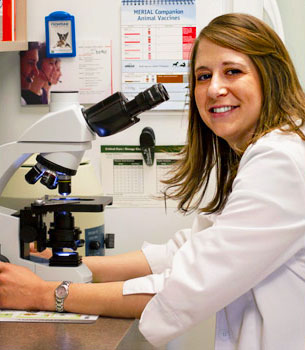 Advanced Diagnostic Technology for Your St. Charles Pet