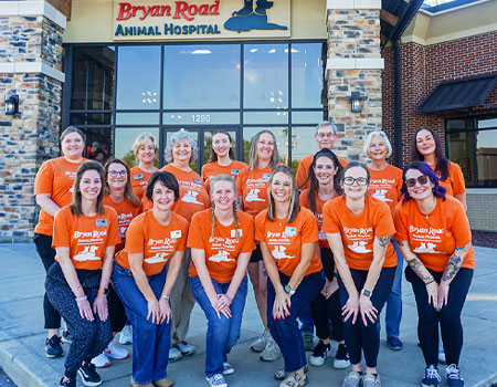 New Clients of Bryan Road Animal Hospital