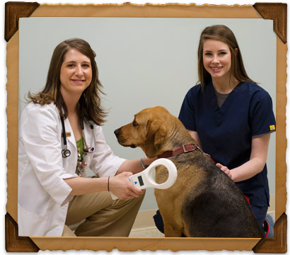 Pet Owner Services at Bryan Road Animal Hospital